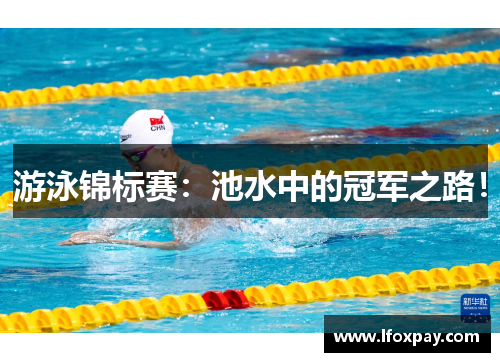 游泳锦标赛：池水中的冠军之路！